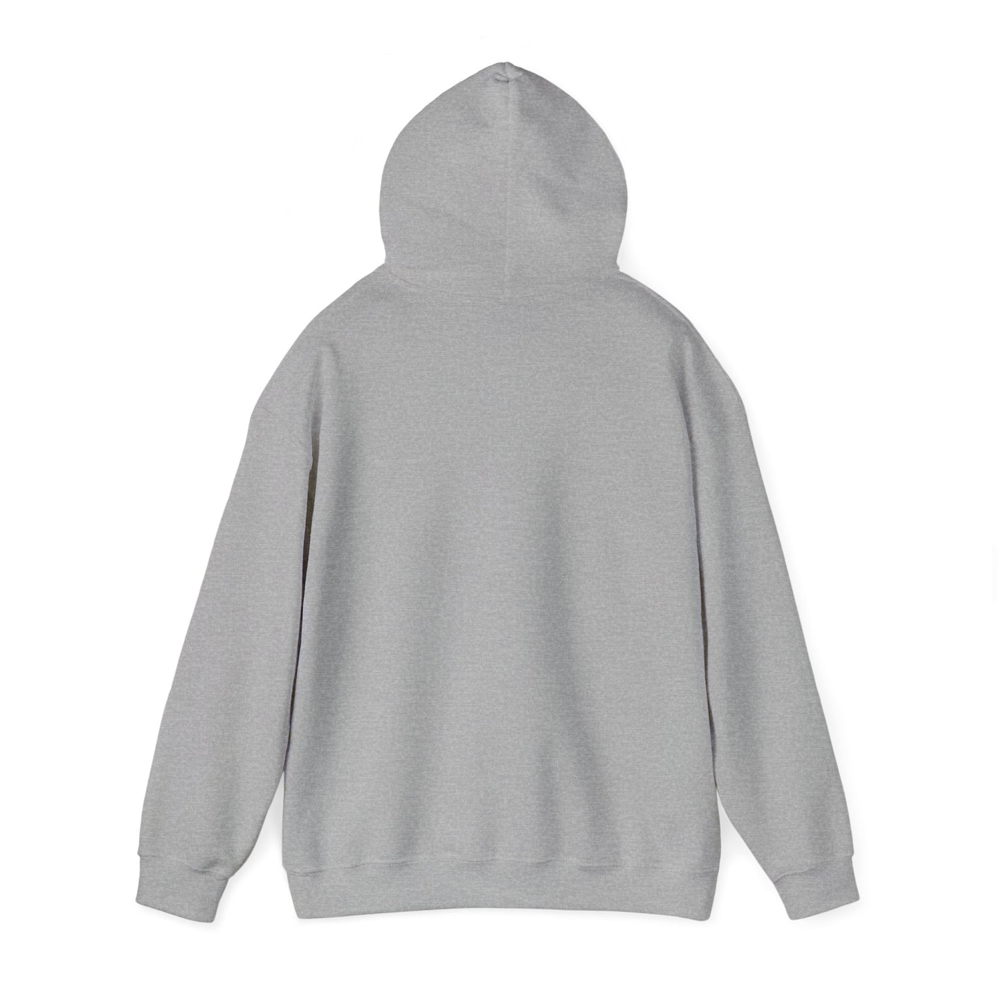 Sage Walker Hooded Sweatshirt