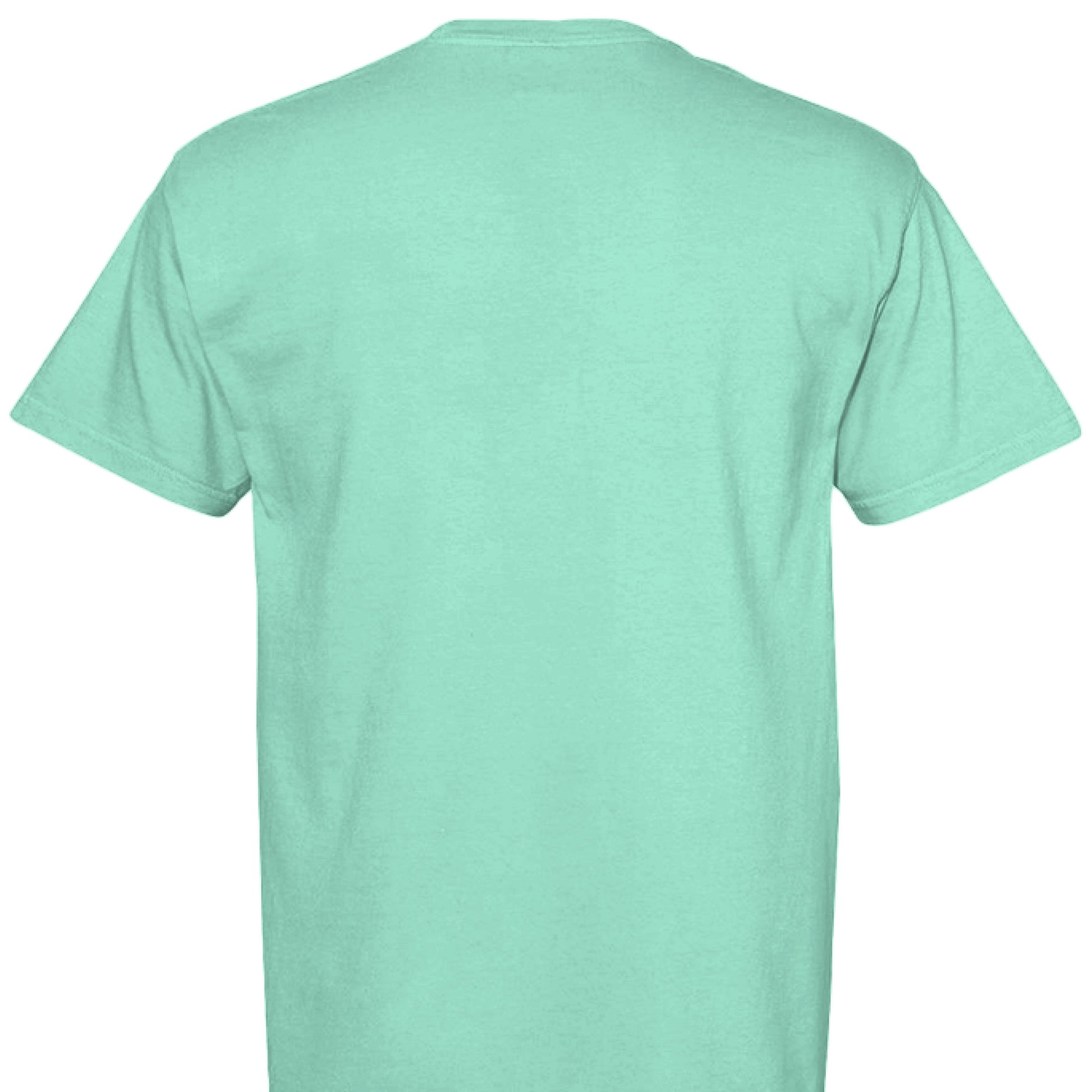 ISLAND REEF - BACK