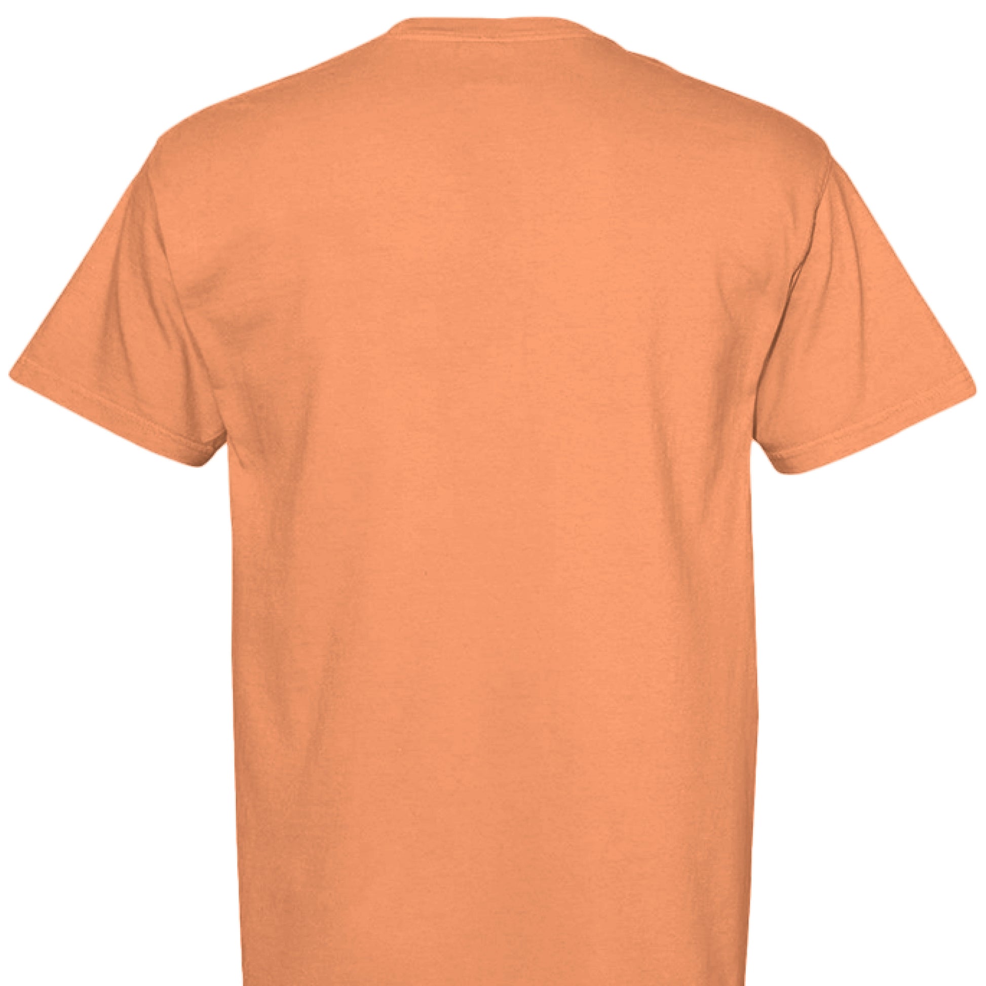 BURNT ORANGE - BACK